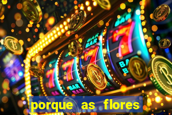 porque as flores da roma caem