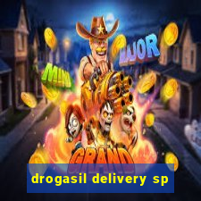 drogasil delivery sp