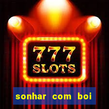 sonhar com boi jogo do bicho