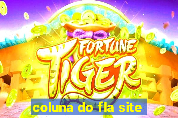 coluna do fla site