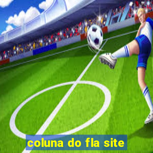 coluna do fla site