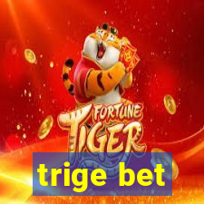 trige bet