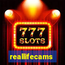 reallifecams