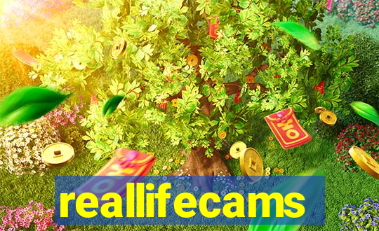 reallifecams