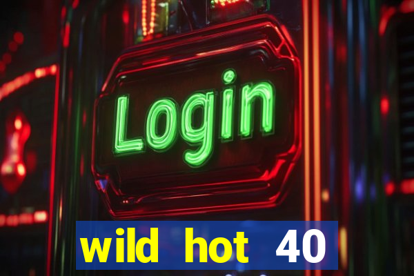 wild hot 40 christmas slot