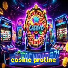 casine protine