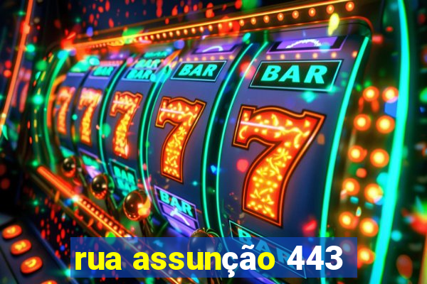 rua assunção 443