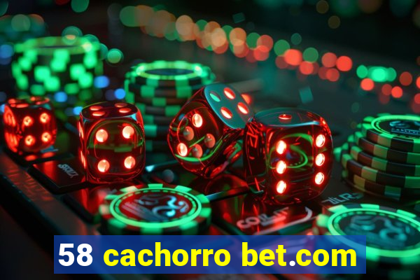 58 cachorro bet.com