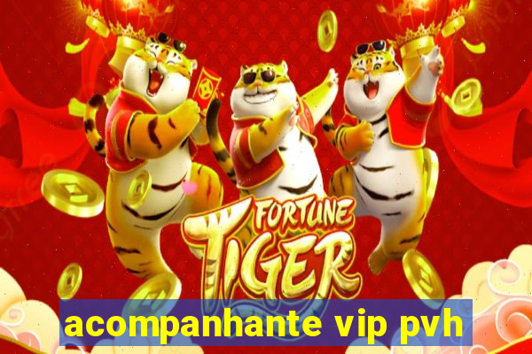 acompanhante vip pvh