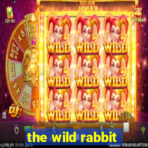 the wild rabbit