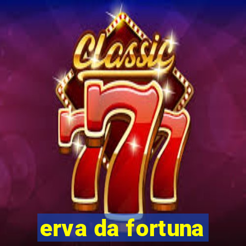 erva da fortuna