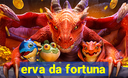 erva da fortuna