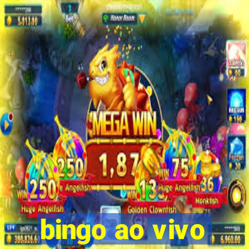 bingo ao vivo