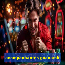 acompanhantes guanambi