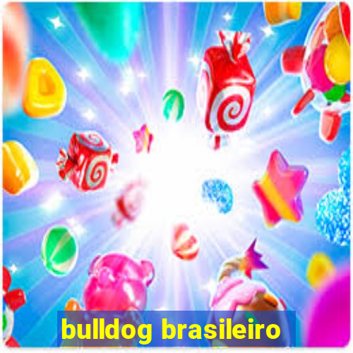 bulldog brasileiro