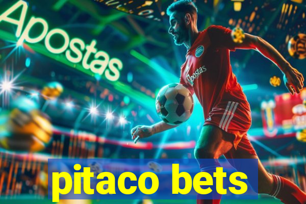 pitaco bets