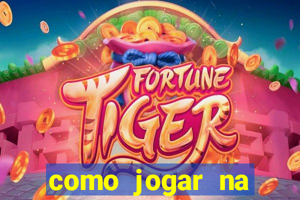 como jogar na bolsa online