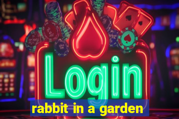 rabbit in a garden