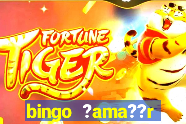 bingo ?ama??r deterjan? kimin