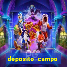 deposito campo grande santos