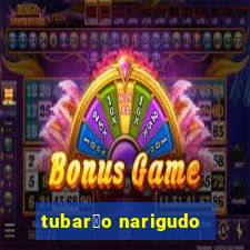 tubar茫o narigudo