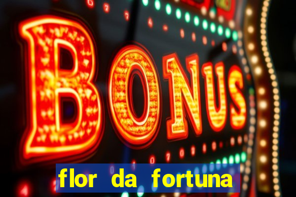 flor da fortuna como cuidar