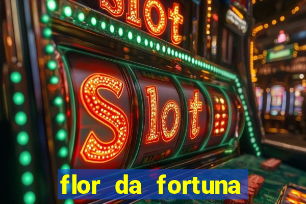 flor da fortuna como cuidar