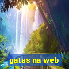 gatas na web