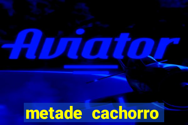 metade cachorro metade gato