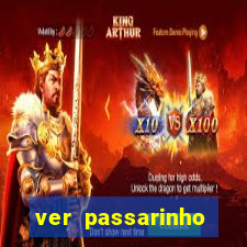 ver passarinho morto significado espiritual