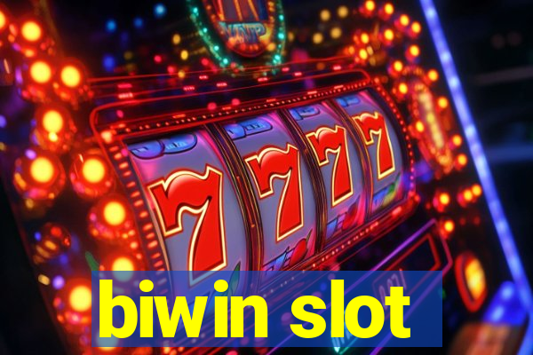 biwin slot